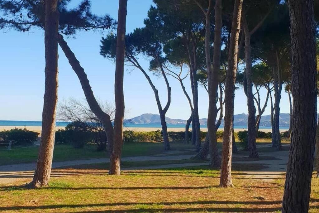 Joli 4 Personnes A 300 M De La * Argeles-sur-Mer